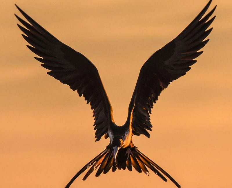 chris-sabor-cE1XGVdaEhc-unsplash